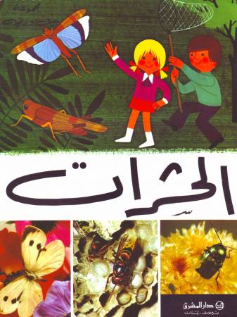 الحشرات