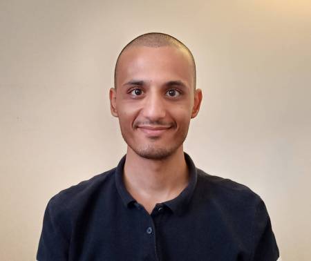 الجمال تمثيلًا للإرادة في فلسفة الجمال